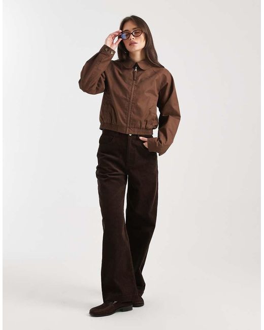 Tommy Hilfiger Brown Round Collar Jacket