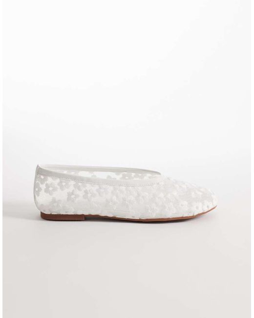 Raid Enida in het White
