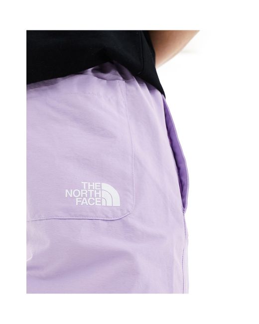 The North Face Purple Nse Sakami Logo Shorts for men
