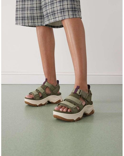 Teva Green Hurricane Ampsole Galla