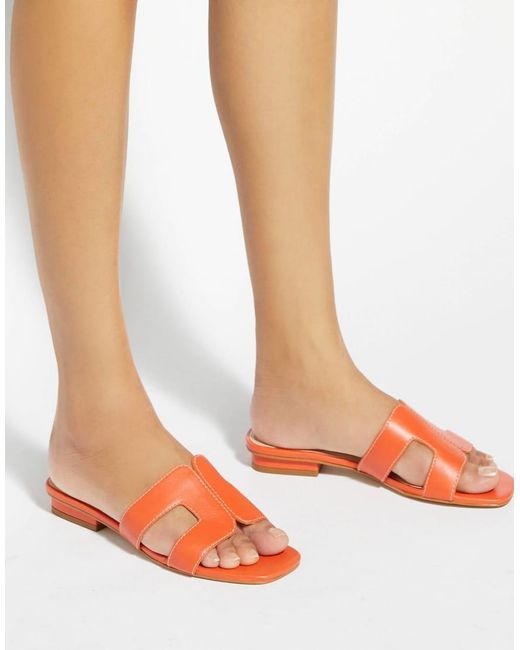 Dune Orange Loupe