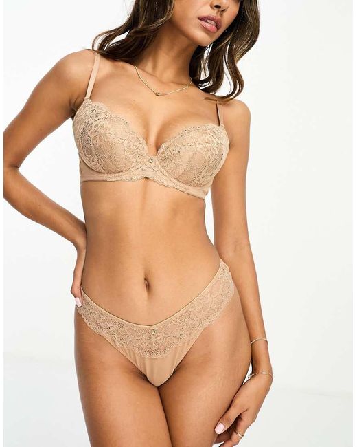 Ann Summers Brown A-g Sexy Lace Plunge Bra