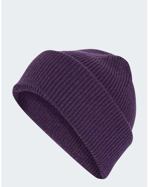 Adidas Originals Purple Terrex Multi Beanie