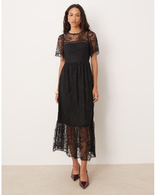 Lovedrobe Natural Short Sleeve Lace Midi Dress