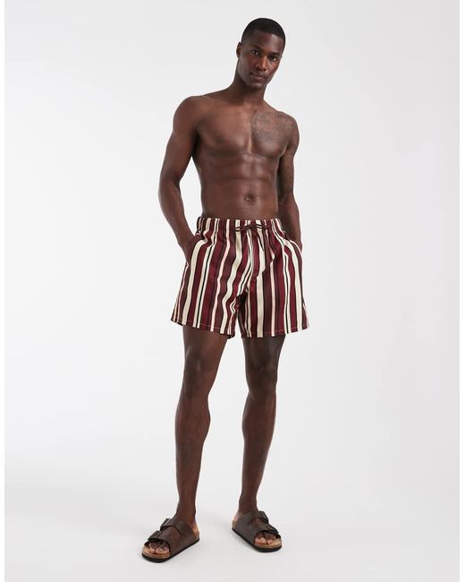 ASOS Brown Swim Shorts for men