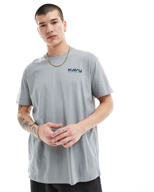 Camiseta con logo delantero estilo botánico Kavu de hombre de color Gray