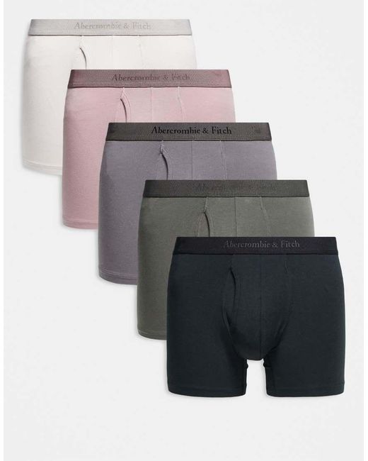 Abercrombie & Fitch Gray 5 Pack Tonal Boxer Briefs for men