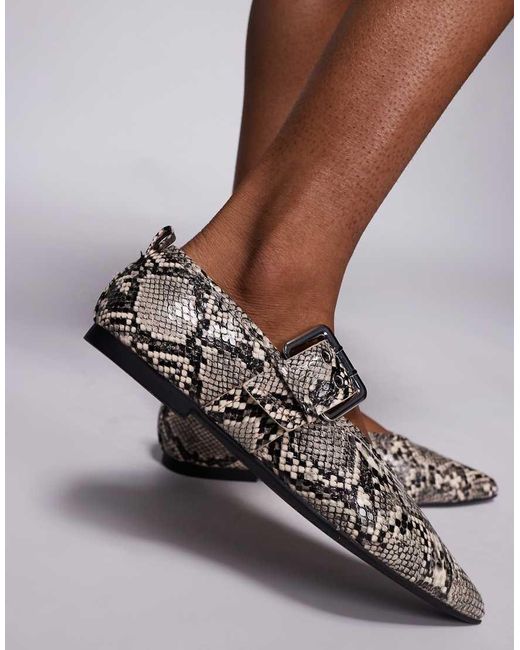 Bailarinas Con Estampado De Serpiente, Puntera Fina Y Detalle De Hebilla De -Gris River Island de color Brown