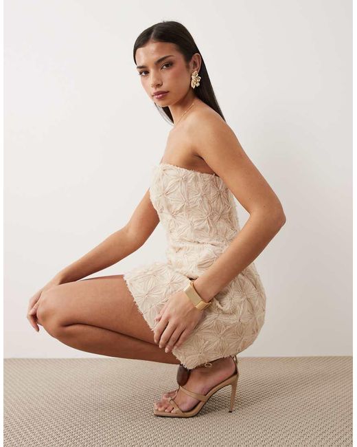 Bardot Natural Karoline Bandeau Floral Applique Mini Dress