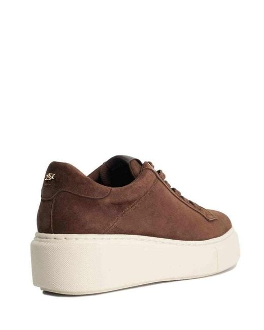 Dune Brown Evienne Trainers