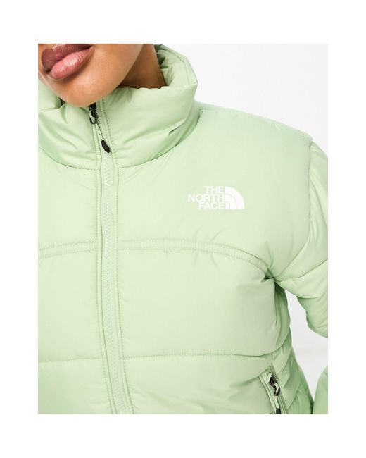 The North Face Green – tnf 2000 – steppjacke