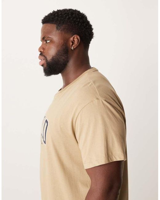 Polo Ralph Lauren Natural Big & Tall Collegiate Script Logo T-Shirt Classic Fit for men