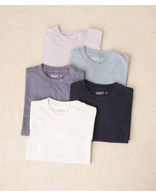 Abercrombie & Fitch Blue 5 Pack Essential T-shirt Pack for men