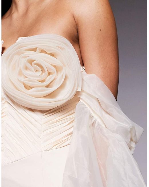 ASOS Gray Organza Sleeve Corsage Mini Dress