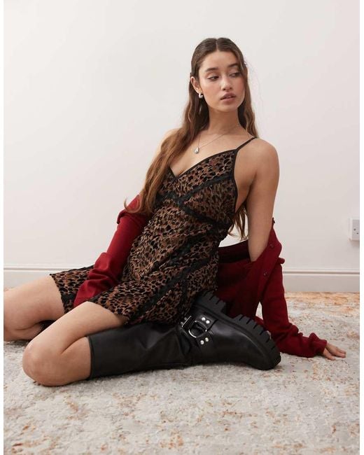 Miss Selfridge Brown Devore Lace Insert Cami Mini Dress