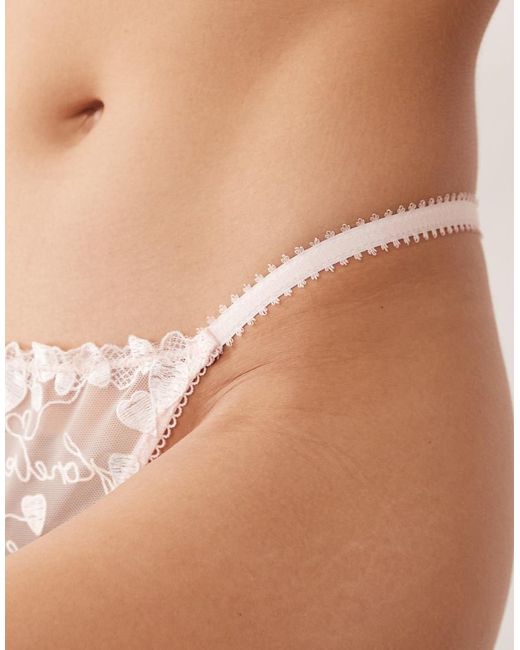 Wild Lovers Brown Vivienne Embroidered Mesh Thong
