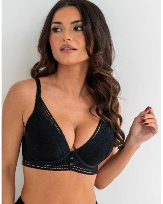 Pour Moi Black Taylor Lace High Apex Push Up Padded Plunge Bra