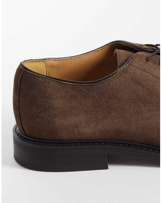 Mango Brown Real Leather Lace Up Brogues for men
