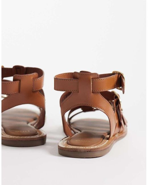 Mango Brown 100% Leather Gladiator Sandals With Buckles