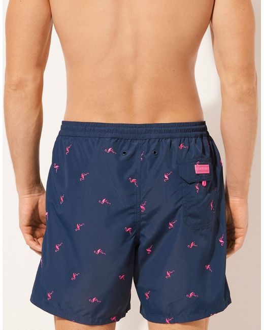 Calzedonia Blue Pattern Swim Boxer Formentera for men
