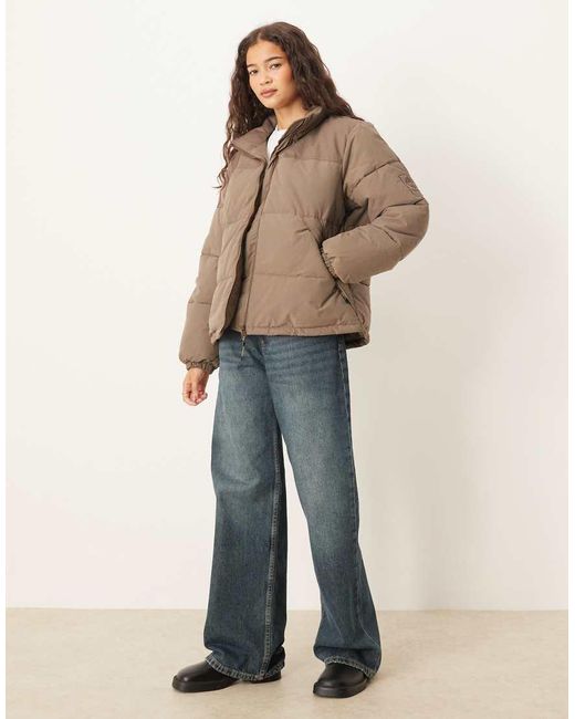 Piumino Con Isolamento Sintetico Color Goccia Di Cioccolato di Timberland in Brown