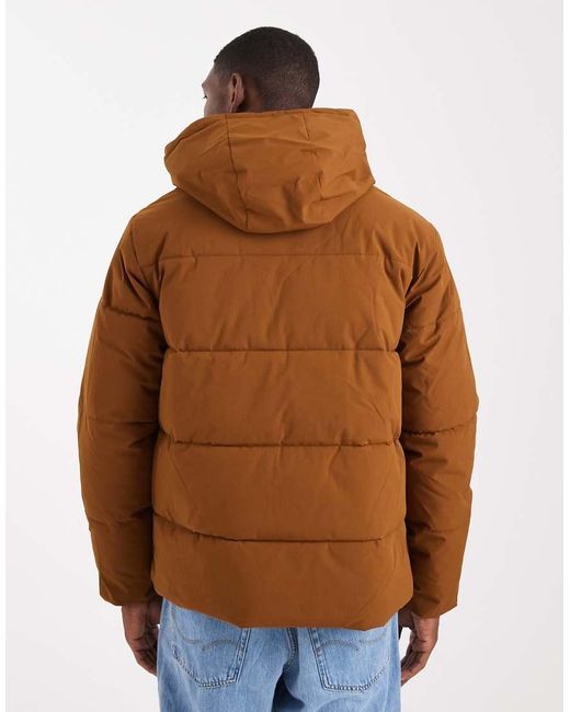 Jack & Jones Brown Hooded Puffer Jacket for men