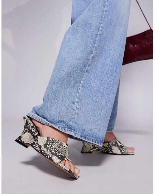 ASOS Blue Trifle Mule Wedges