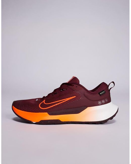 Nike Multicolor Juniper Trail 2 Gore-tex Trainers for men