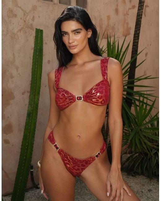 Moda Minx Brown X Zoe Servini Bralette Bikini Top