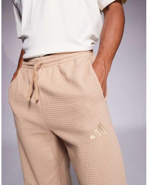 Adidas Originals Purple Adidas Sportswear Waffle Track Pants for men