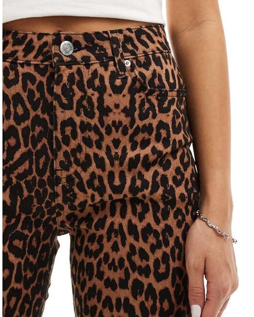 Miss Selfridge Brown Leopard Flare Jean