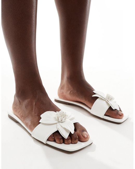 SIMMI Brown Simmi London Miray Flat Sandal With Flower Detail