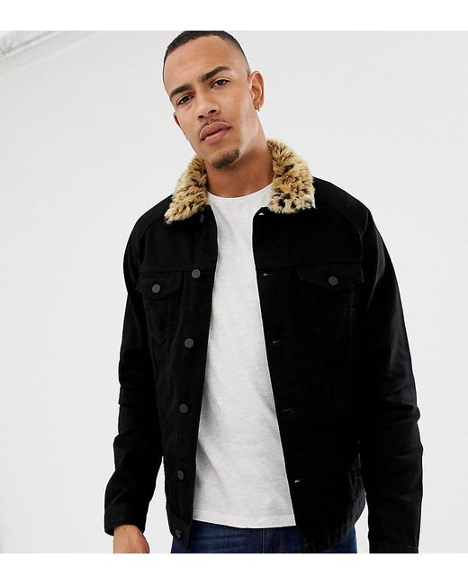ASOS Tall Denim Jacket With Leopard 