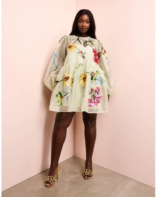 Asos curve australia deals