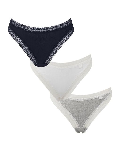 KBX Blue Knickerbox 3 Pack Cotton Thong