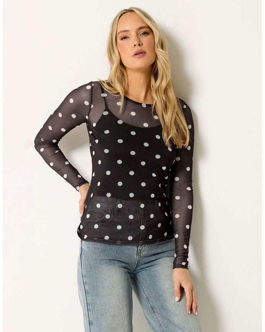 Long Tall Sally Black Polka Dot Mesh Top