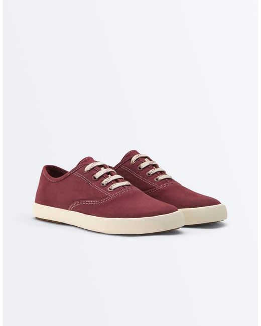Oysho Purple Canvas Trainers