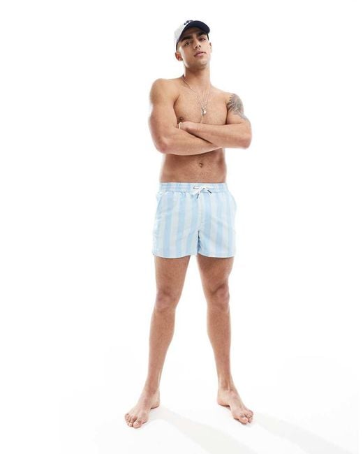 Aray Blue Stripe Print Swim Shorts for men