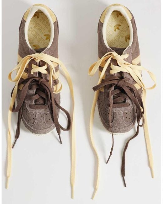 Adidas Originals Brown Japan Trainers