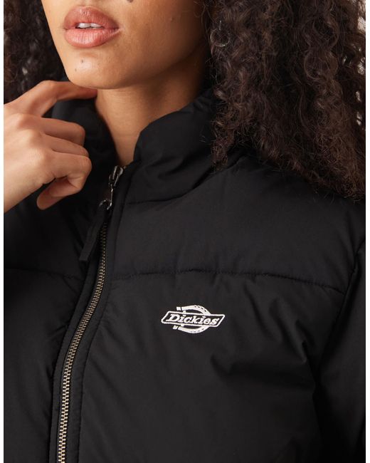 Summerdale - doudoune oversize Dickies en coloris Black