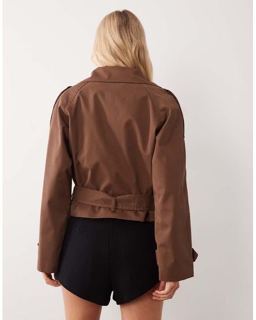 Mango Brown Cropped Funnel Neck Belted Trench