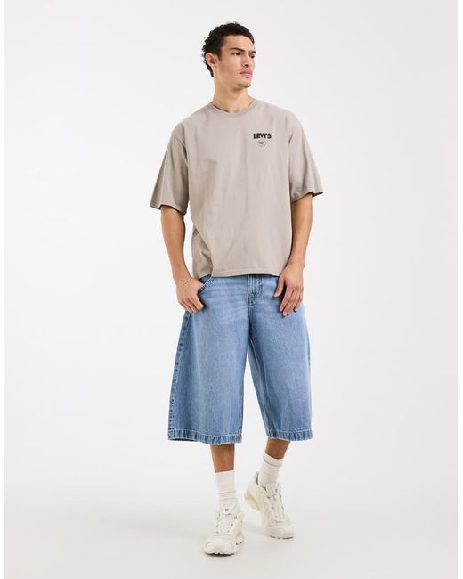 Levi's Natural Back Graphic Oversized T-shirt for men