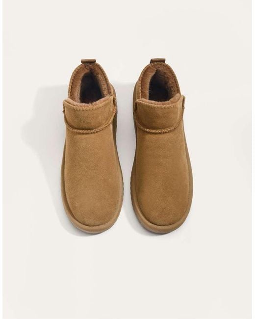 Oysho Brown Leather Ankle Boots