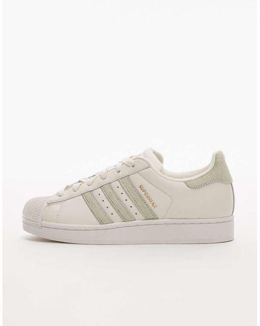 Adidas Originals Superstar Youth Trainers Adidas Superstar J White White  Youths Trainers Size