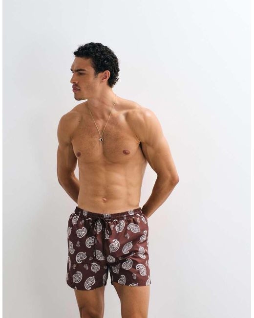 South Beach Brown Paisley Print Swim Short for men