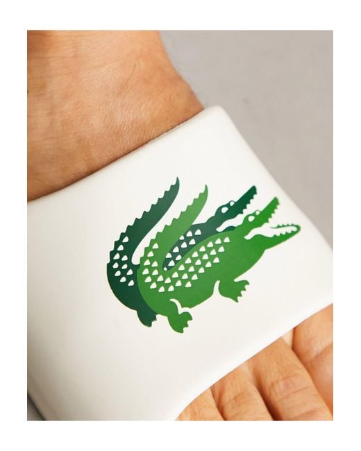 【LACOSTE】Serve 2.0 Evo Sliders ロゴ スライダー ♪ LACOSTE】Serve 2.0 Evo Sliders ロゴ スライダー ♪ (LACOSTE