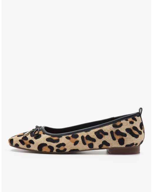 OFF THE HOOK Leren Ballerina's Met Luipaardprint in het Brown