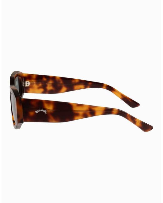 Billabong Brown Lank Sunglasses for men