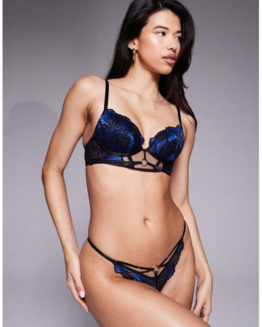 Ann Summers Blue Untamed Seduction Longline Padded Plunge Bra