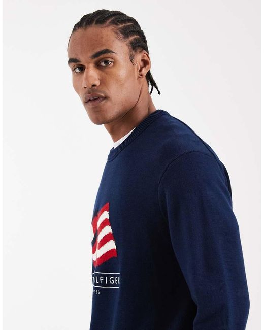 Tommy Hilfiger Blue Cotton Waving Flag Logo Knit Sweater for men